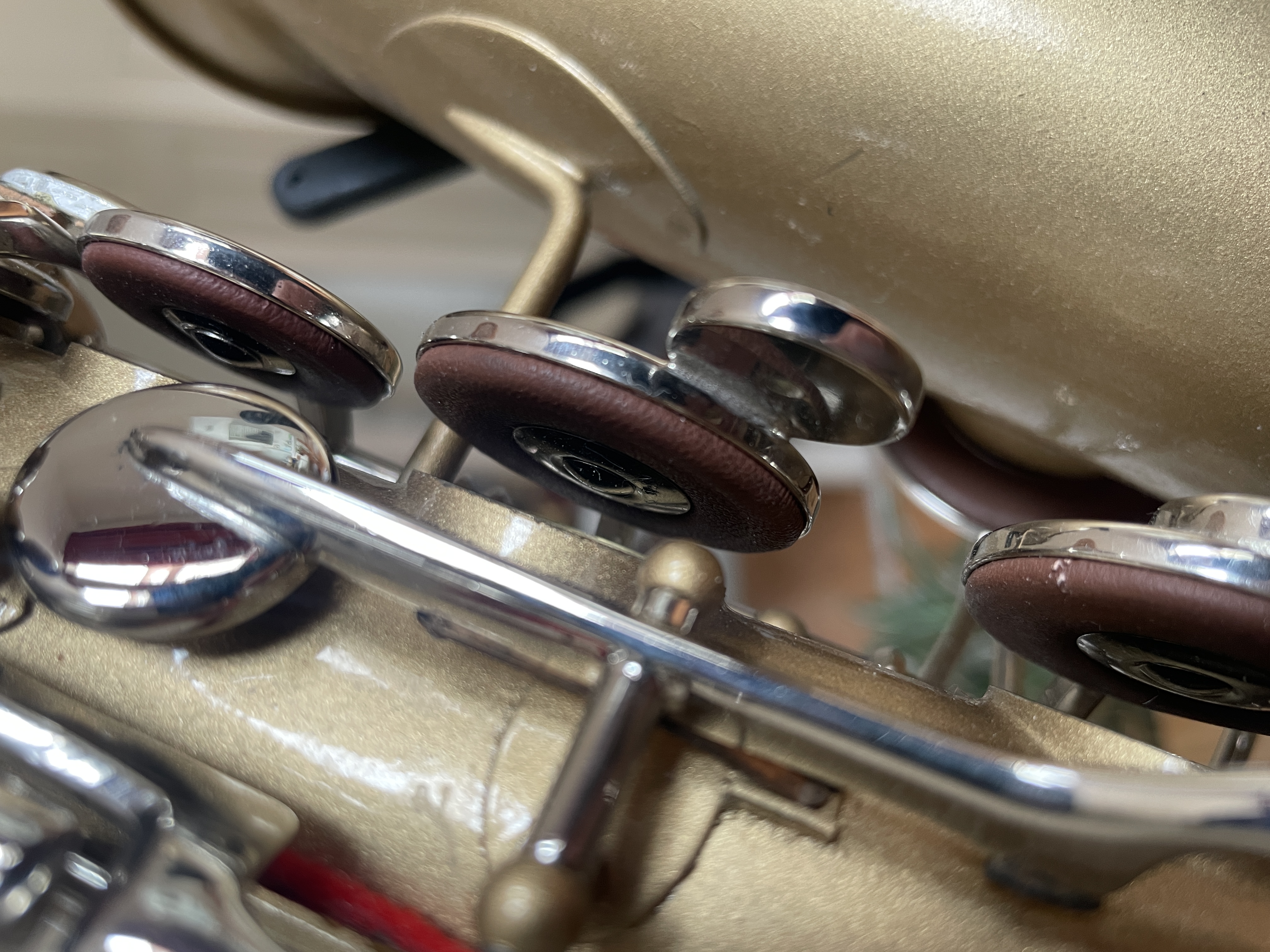 Saxophone pads close-up